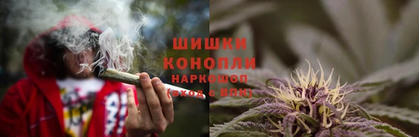 дживик Абаза