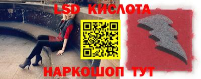 spice Лесной