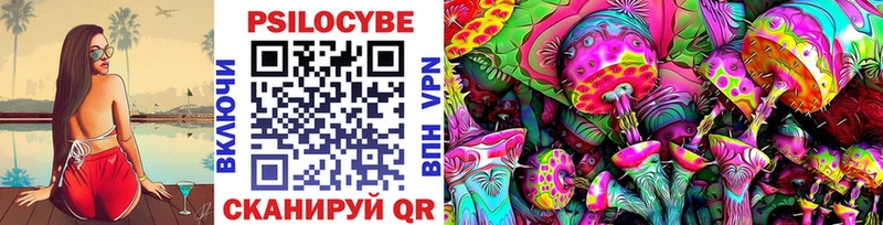 hydra Лабинск Галлюциногенные грибы Psilocybe